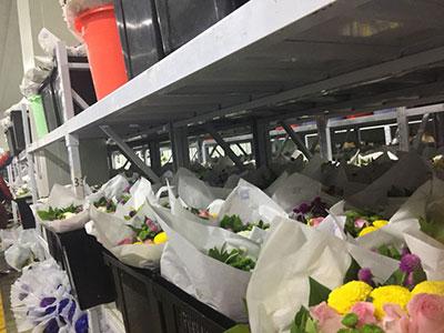 Холодильный склад для хранения цветов